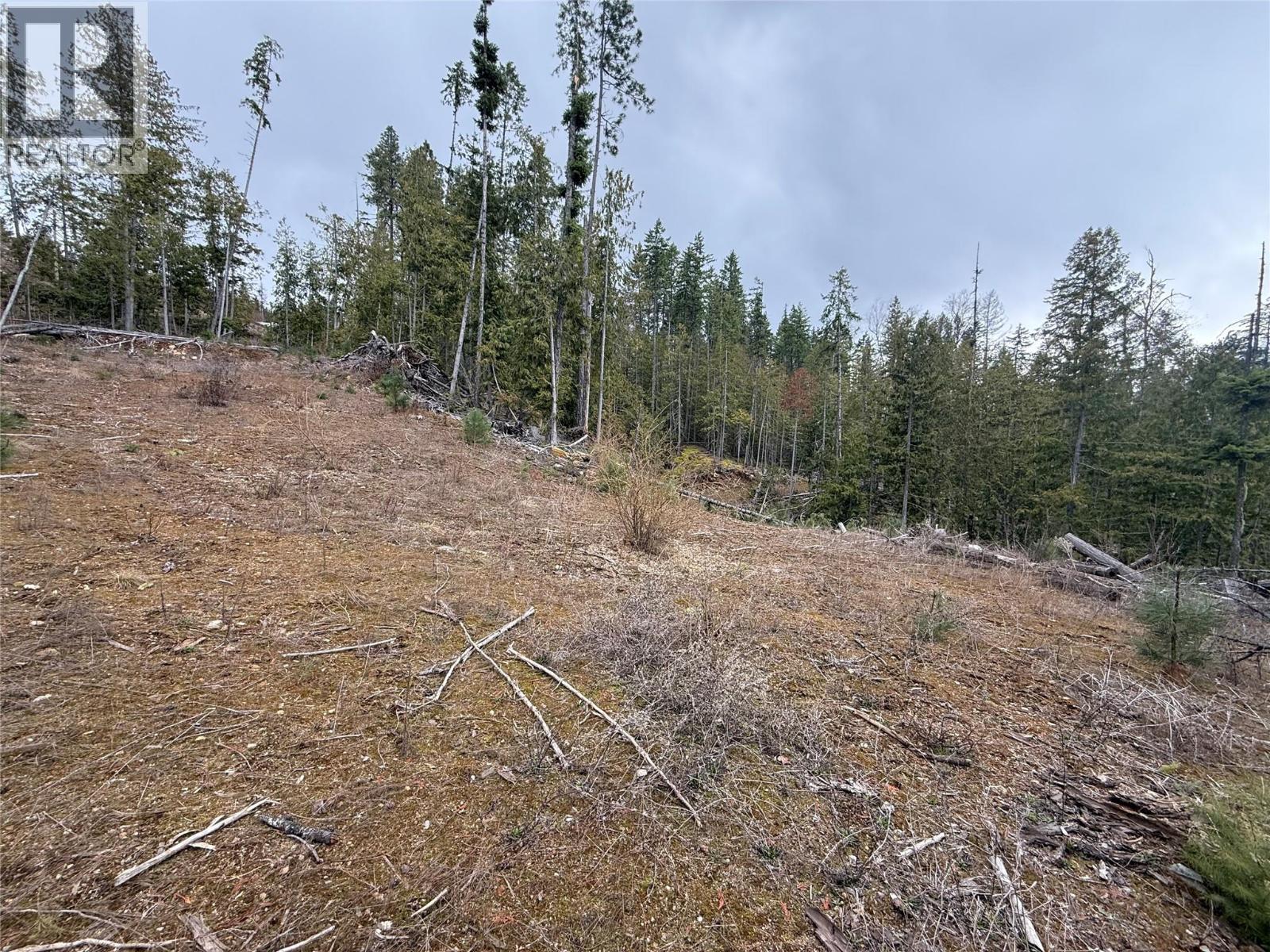 503 Riondel Road, Riondel