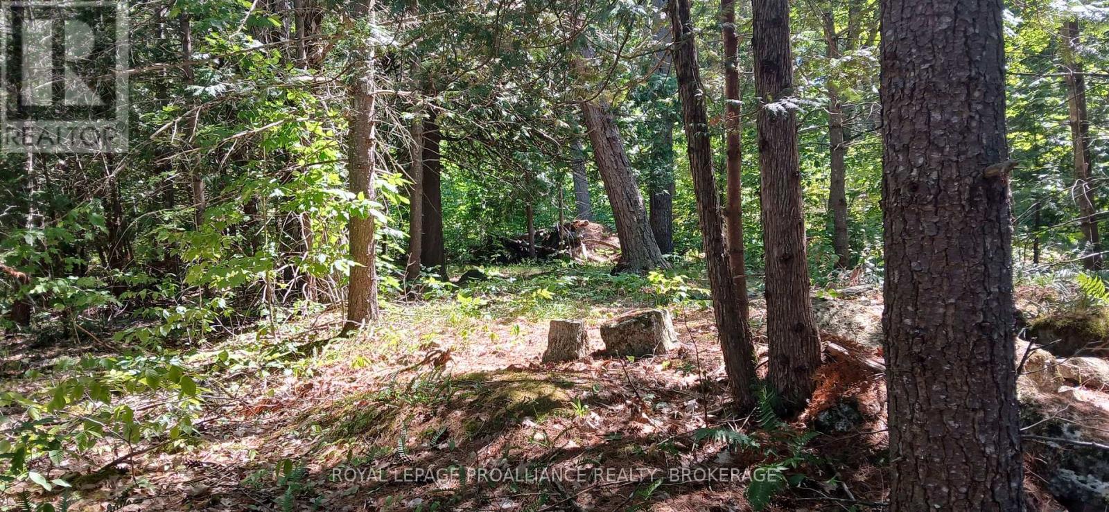 1050 LODGE LANE — photo 3