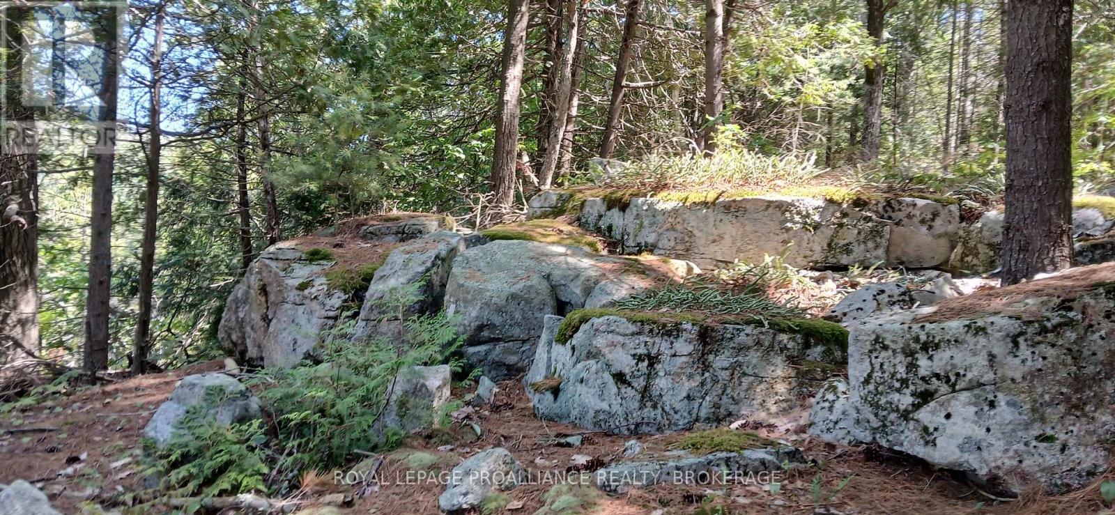 1050 LODGE LANE — photo 4