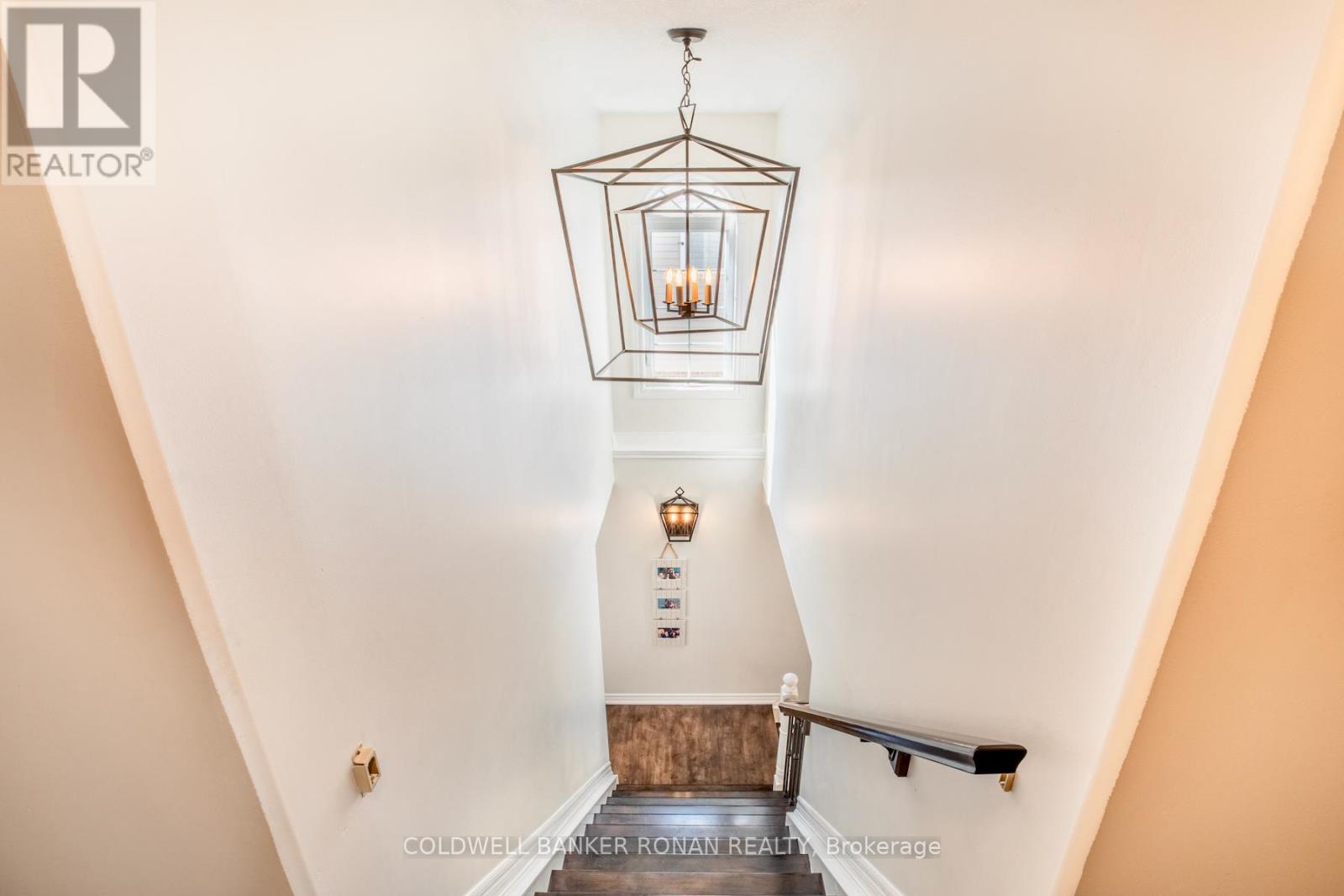 11 SHEPHARD AVENUE - 18