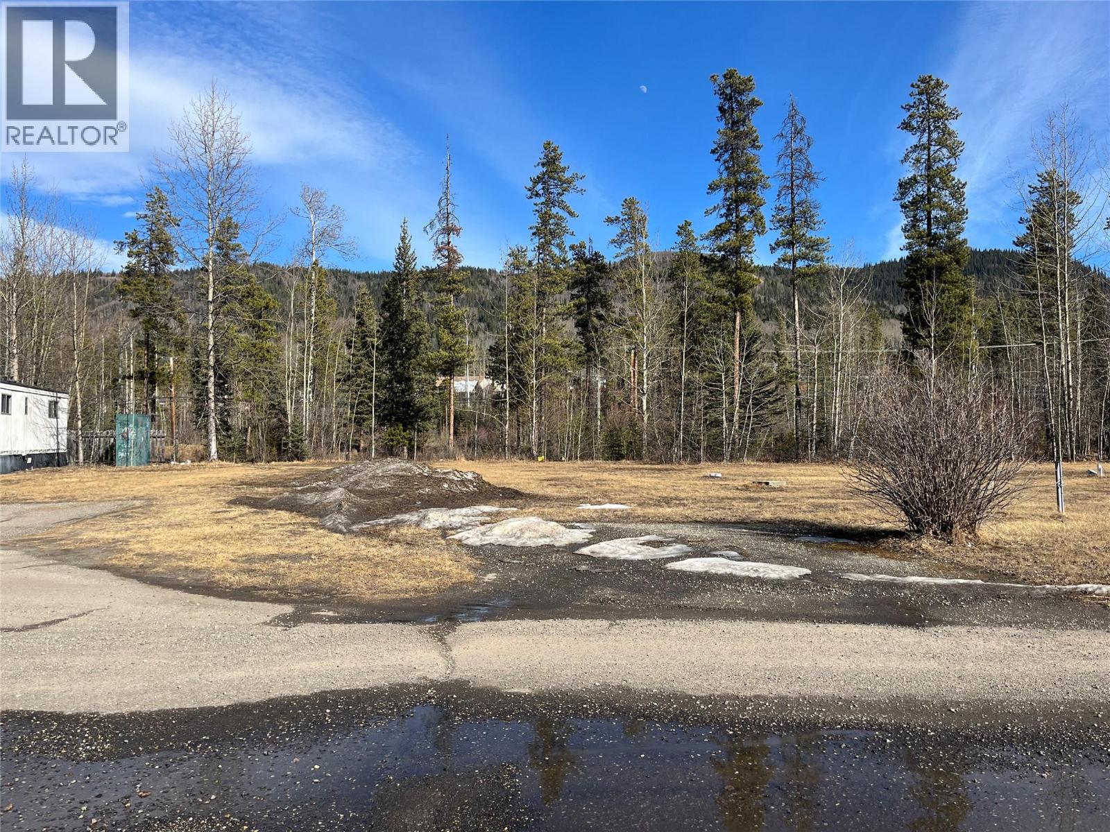  221 STEEPROCK CLOSE Other, Tumbler Ridge