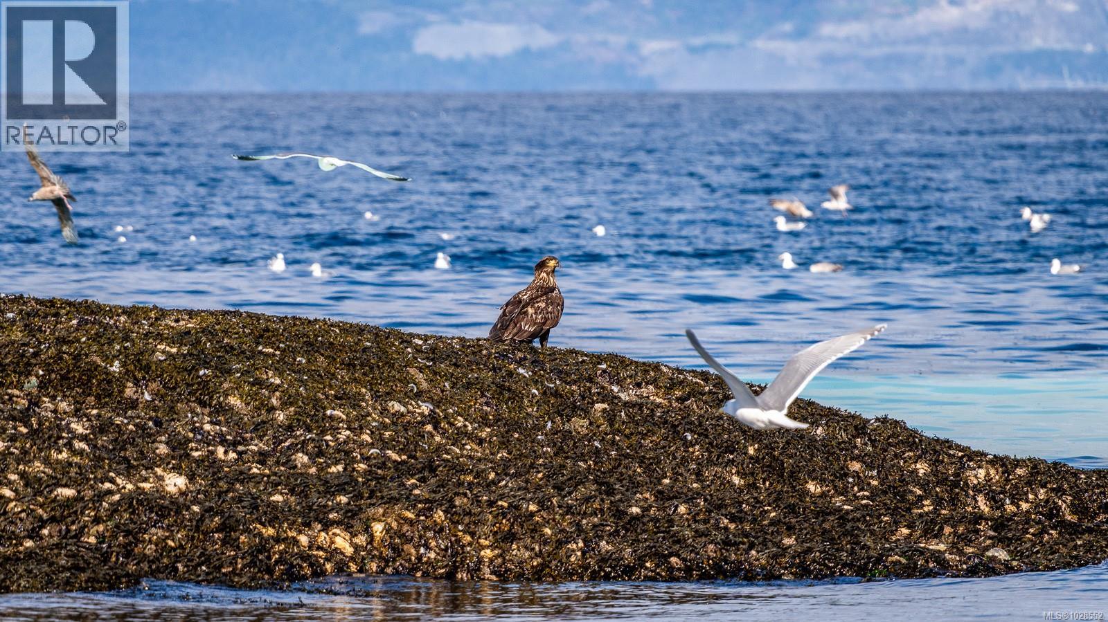 2450 CLAMSHELL PL - Image 3