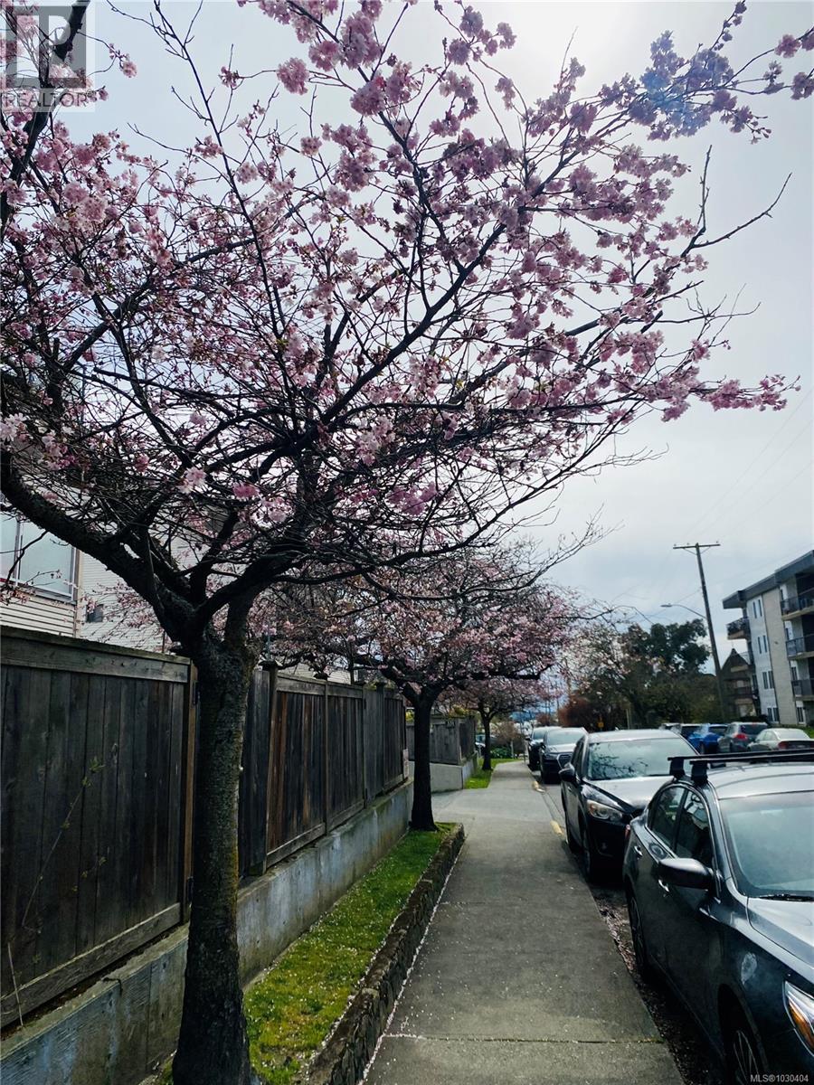 11 333 Robert Street, Victoria