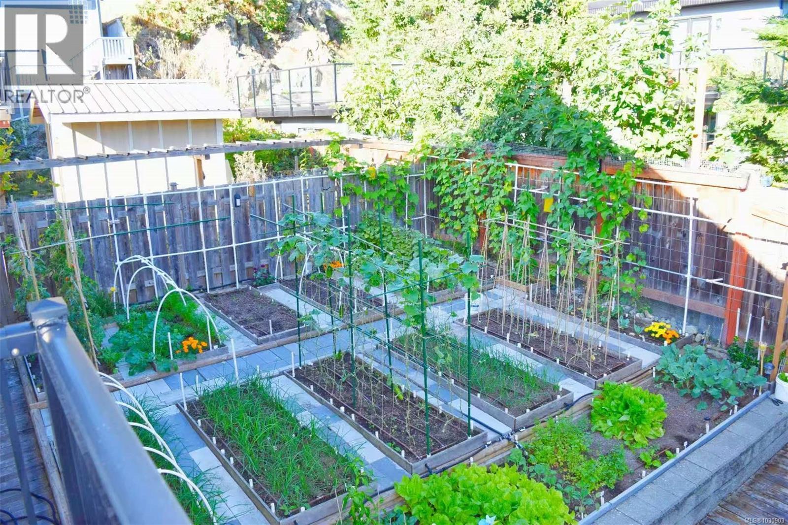 4037 NELTHORPE ST - 27