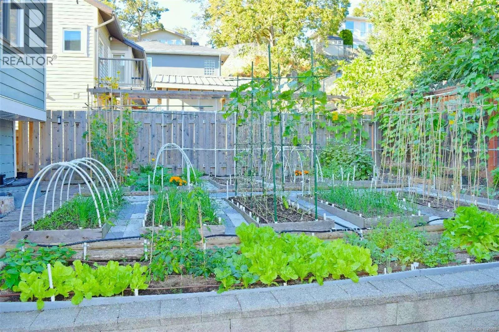 4037 NELTHORPE ST - 28