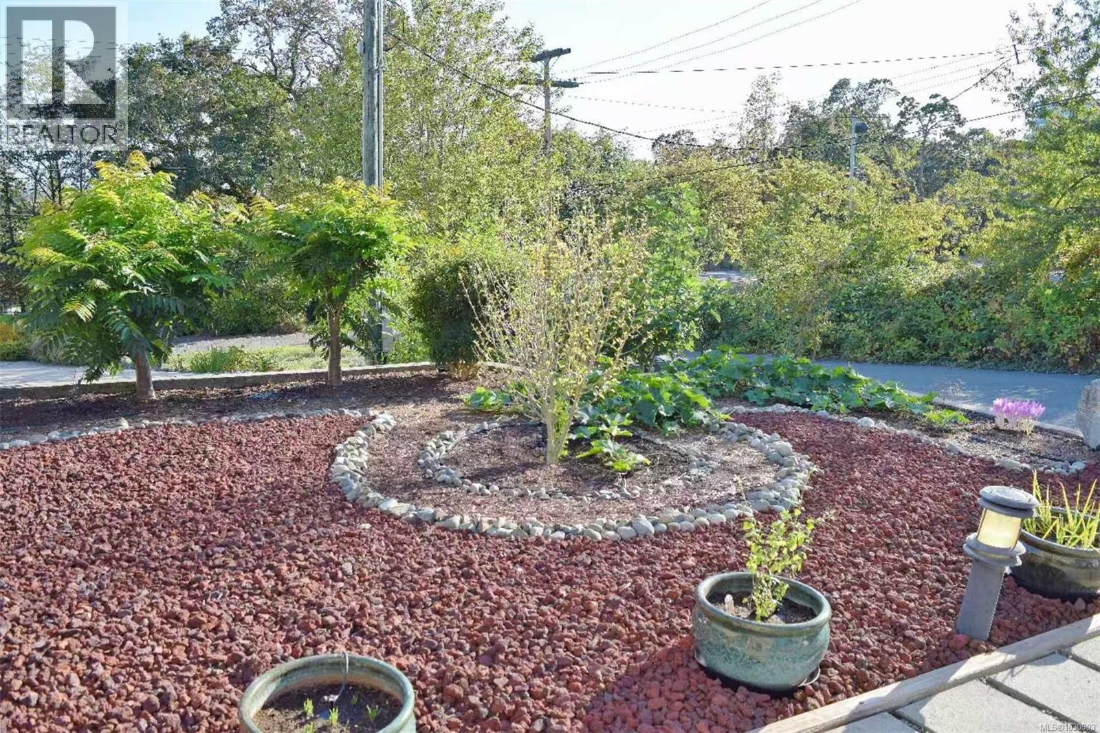 4037 NELTHORPE ST - 4