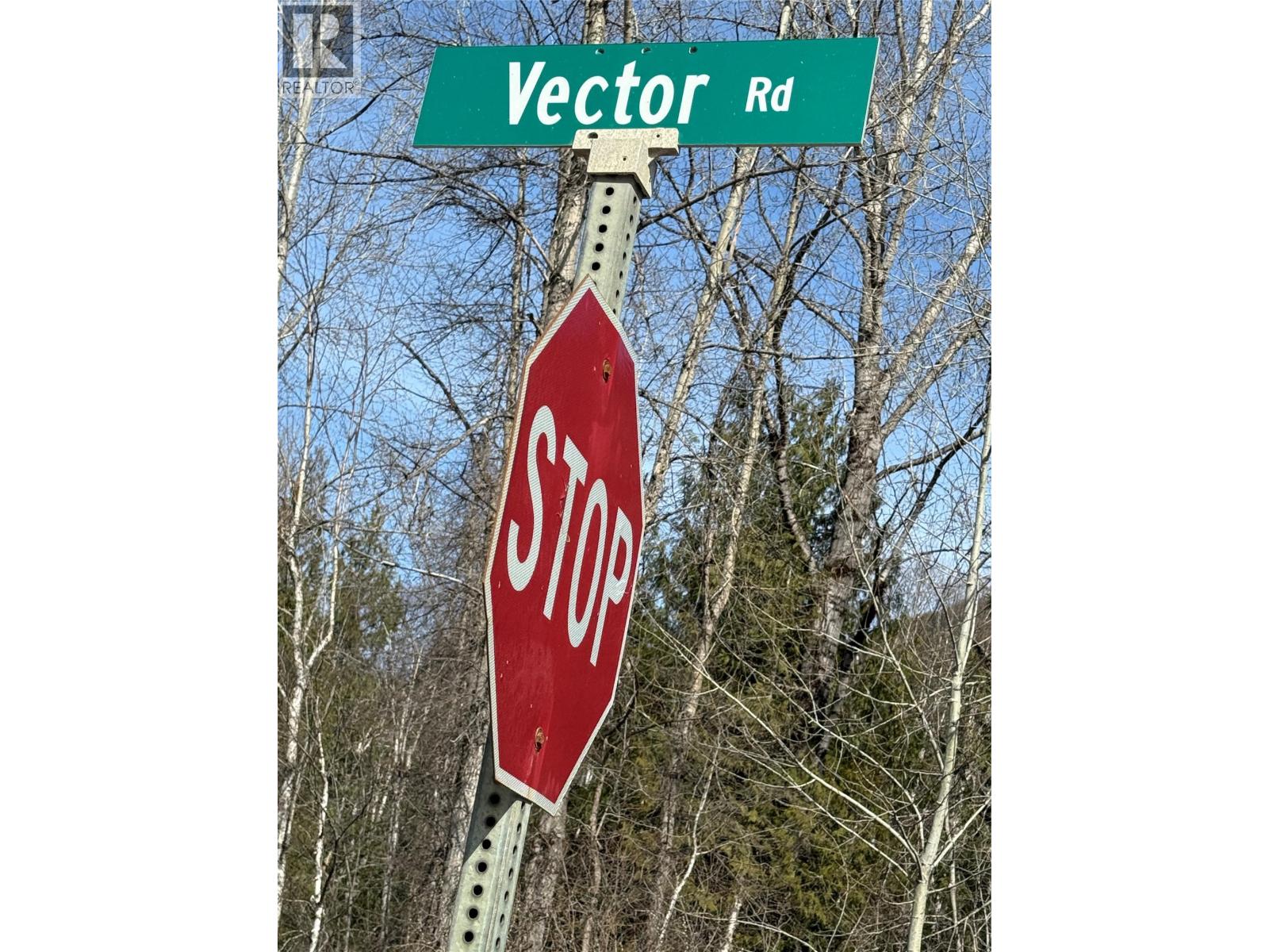 Vector Road Lot# 2, Salmo