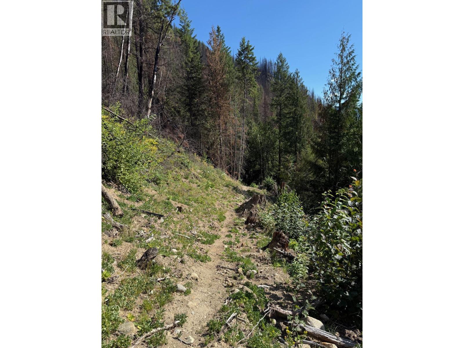  Lot 2 Martens Road, Slocan