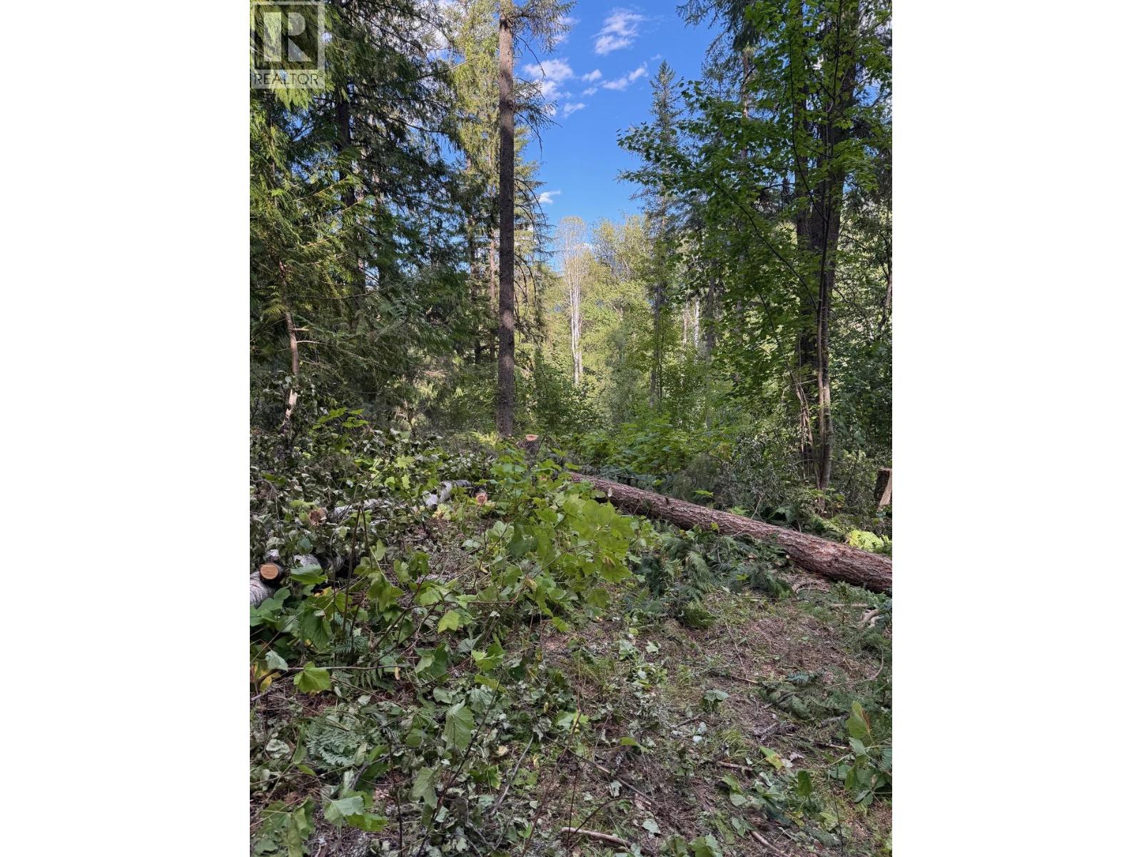  Lot 2 Martens Road, Slocan