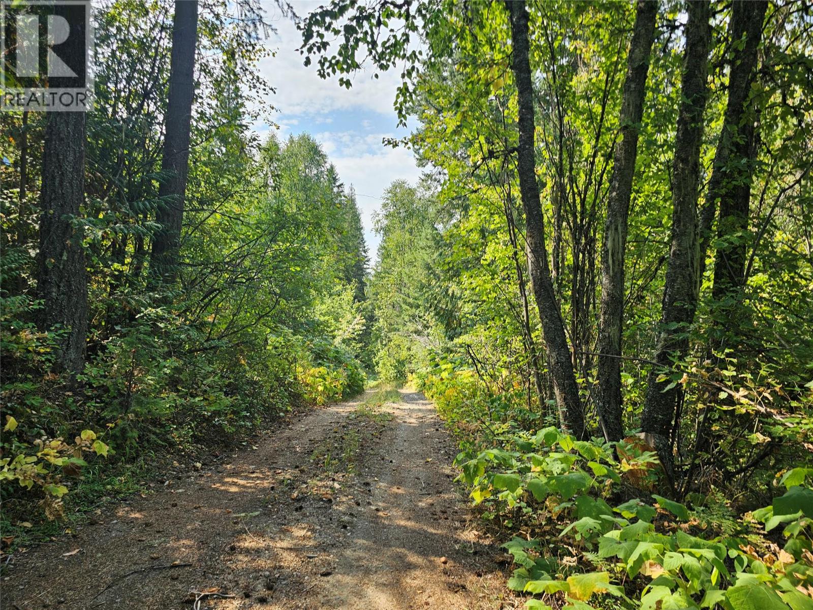  7467 ST THOMAS Road, Winlaw