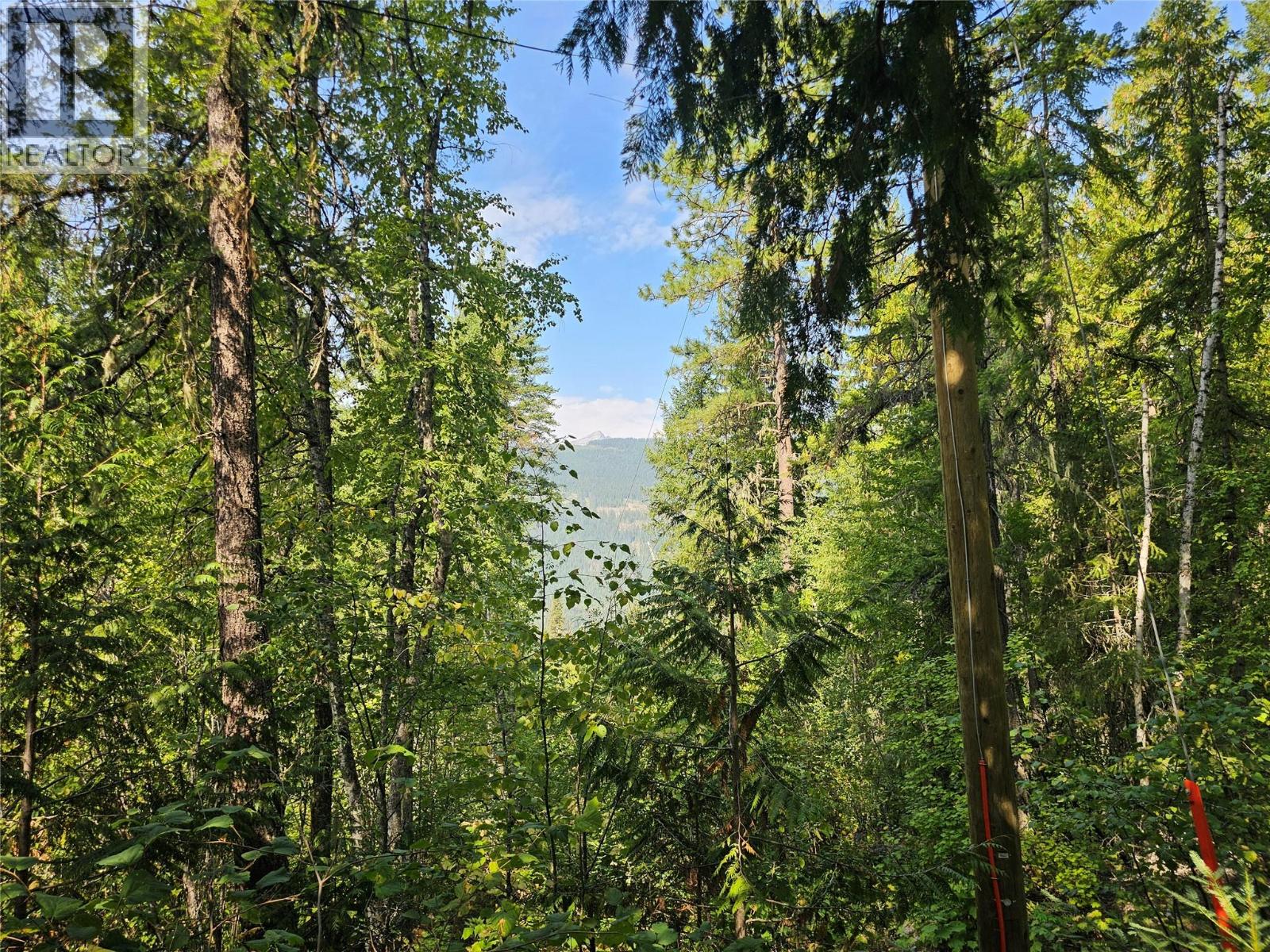  7467 ST THOMAS Road, Winlaw