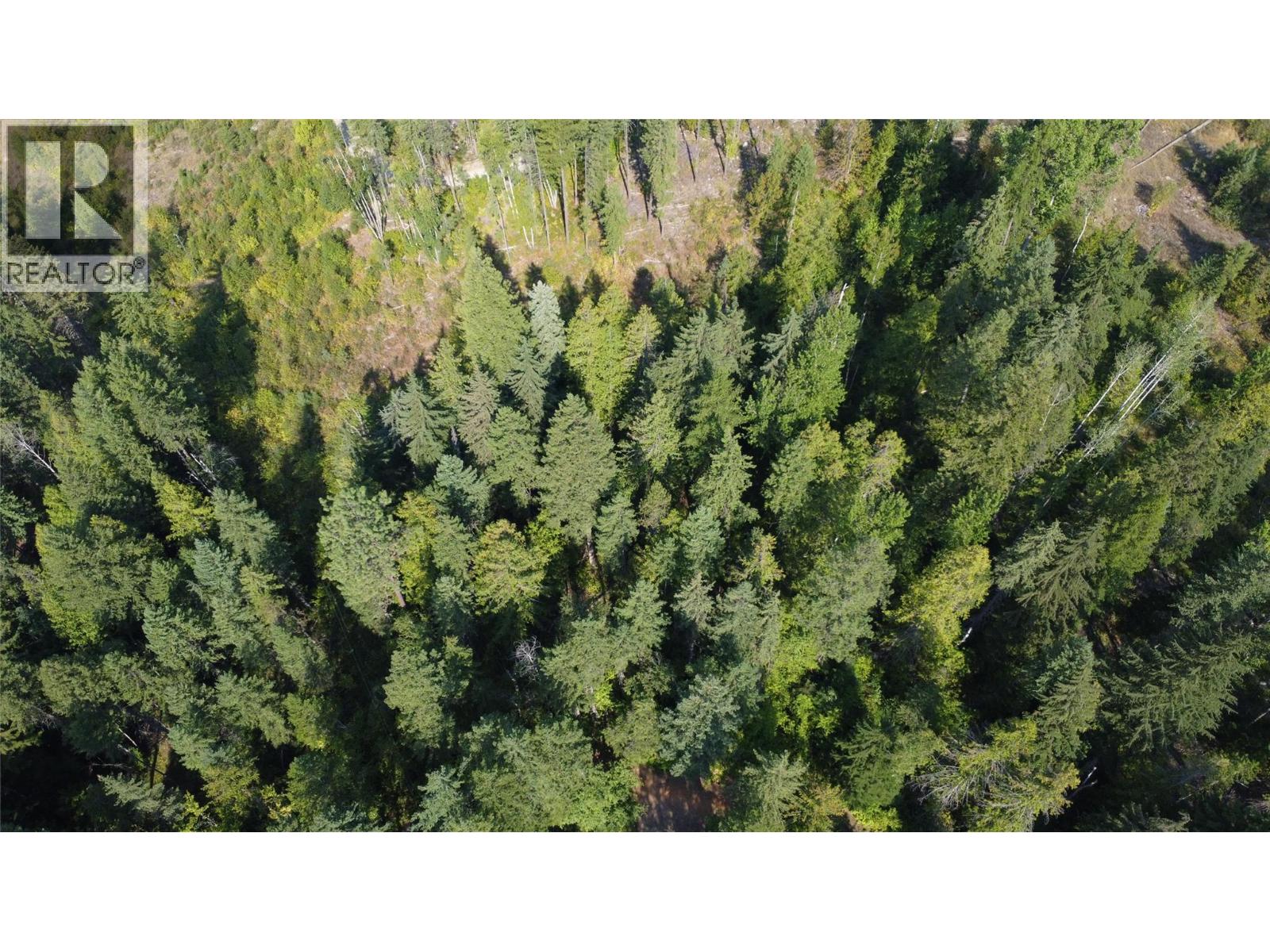 7467 ST THOMAS Road - 48