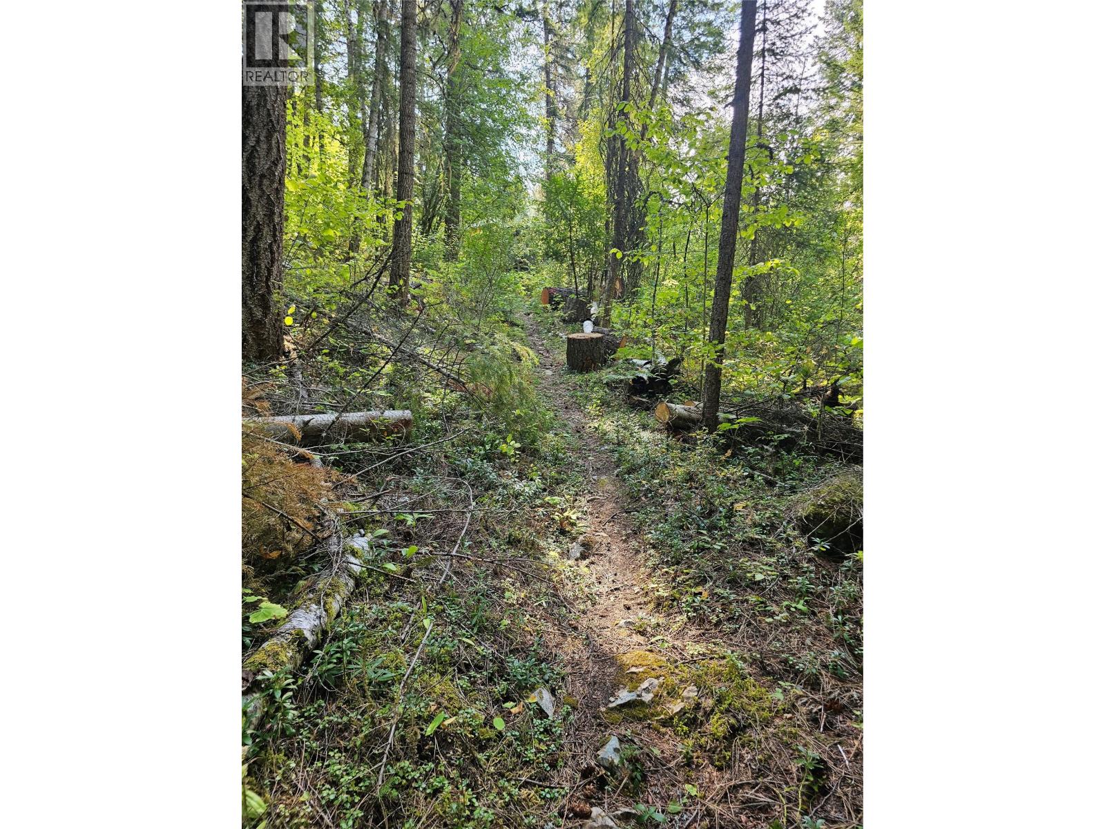  7467 ST THOMAS Road, Winlaw