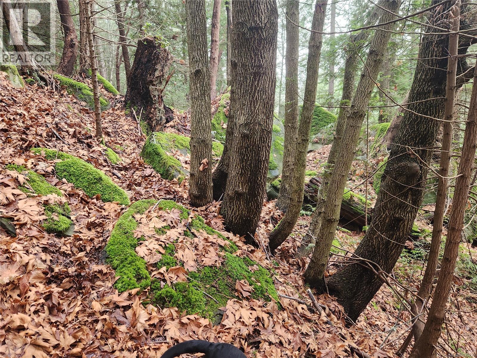 948 HARRISON WAY - 22