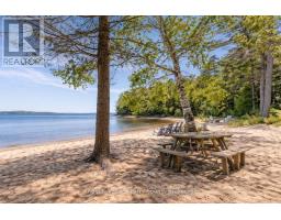 6 29c Mowat Island, Carling, ON P0G1G0 Photo 28