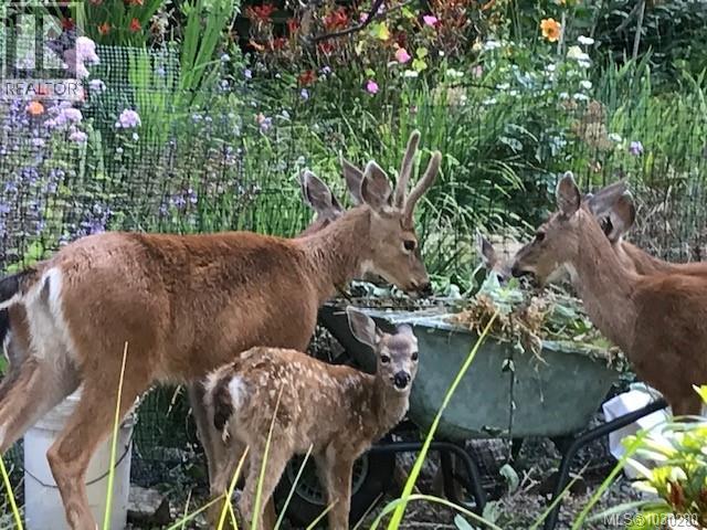  2635 Shoal Road, Pender Island