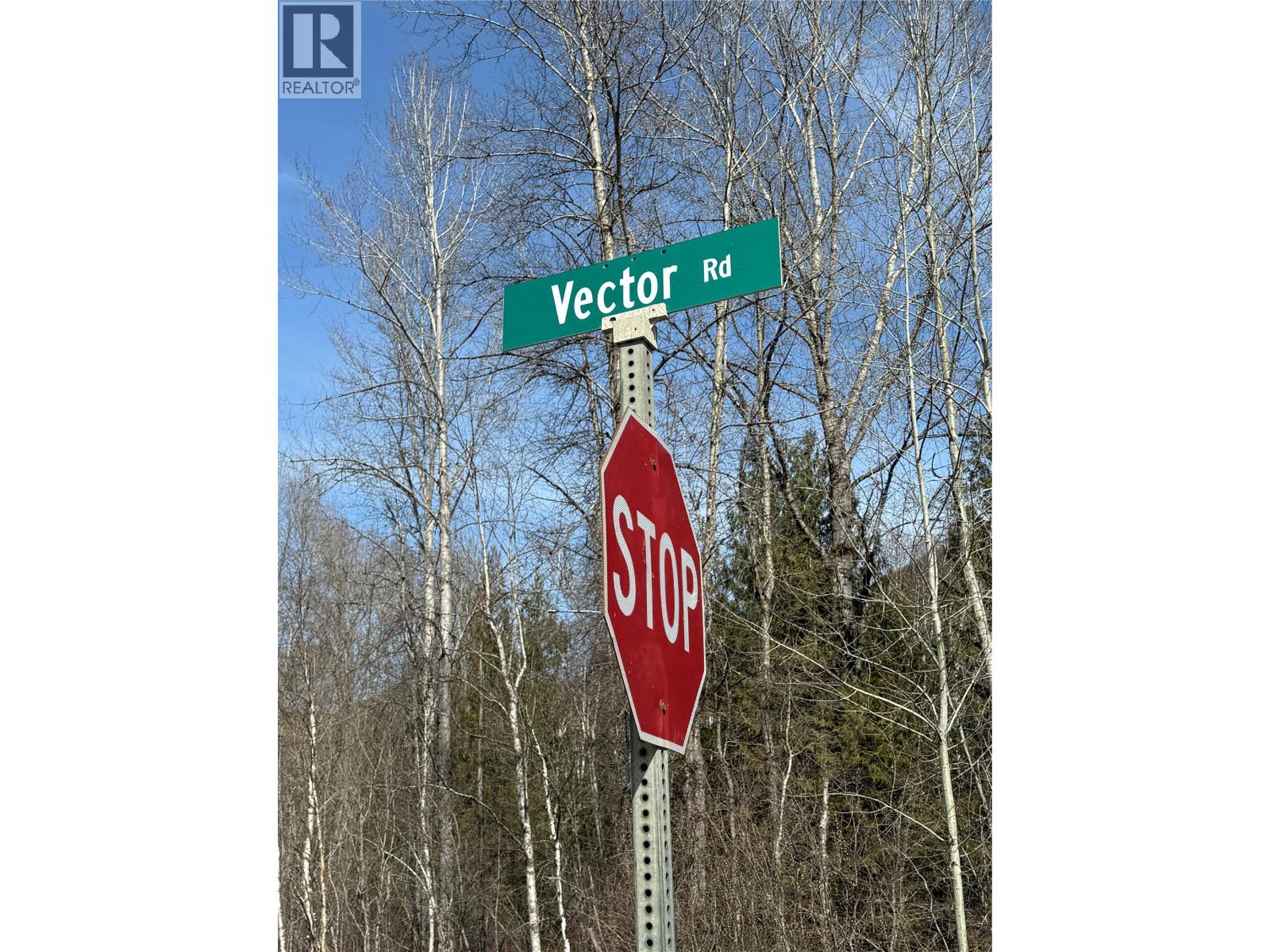  Vector Road, Salmo