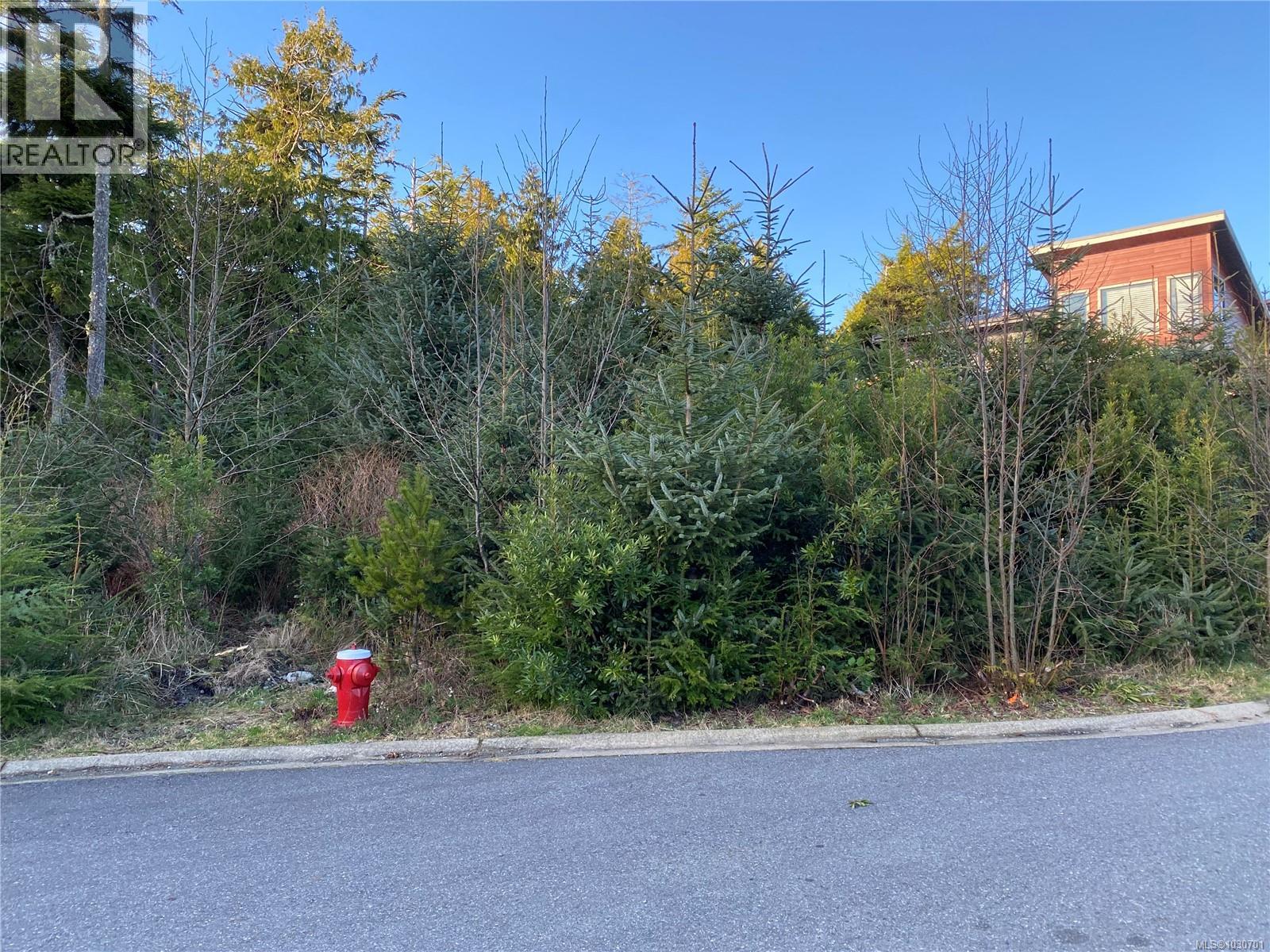 342 Pass Of Melfort Pl, Ucluelet