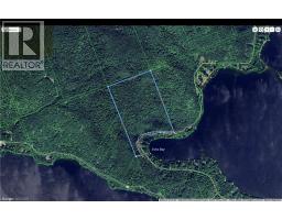 0 Echo Bay Road, Dwight, ON P0A1H0 Photo 12