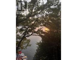 0 Echo Bay Road, Dwight, ON P0A1H0 Photo 13