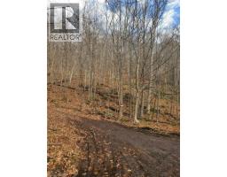 0 Echo Bay Road, Dwight, ON P0A1H0 Photo 8