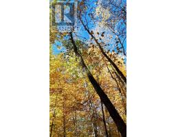 0 Armitage Avenue, Ottawa, ON K0A1T0 Photo 18