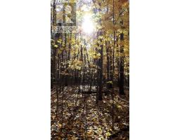 0 Armitage Avenue, Ottawa, ON K0A1T0 Photo 19