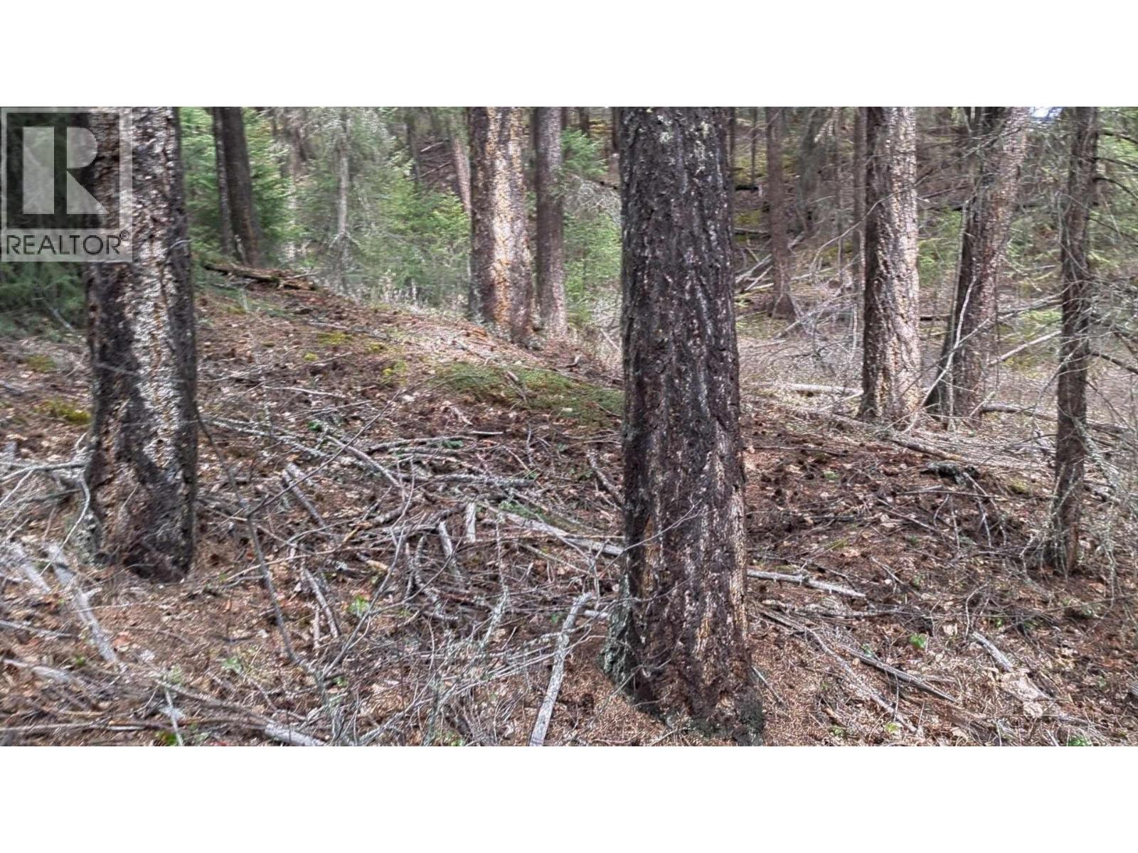 Lot 3 SUMMIT ROAD, Canim Lake