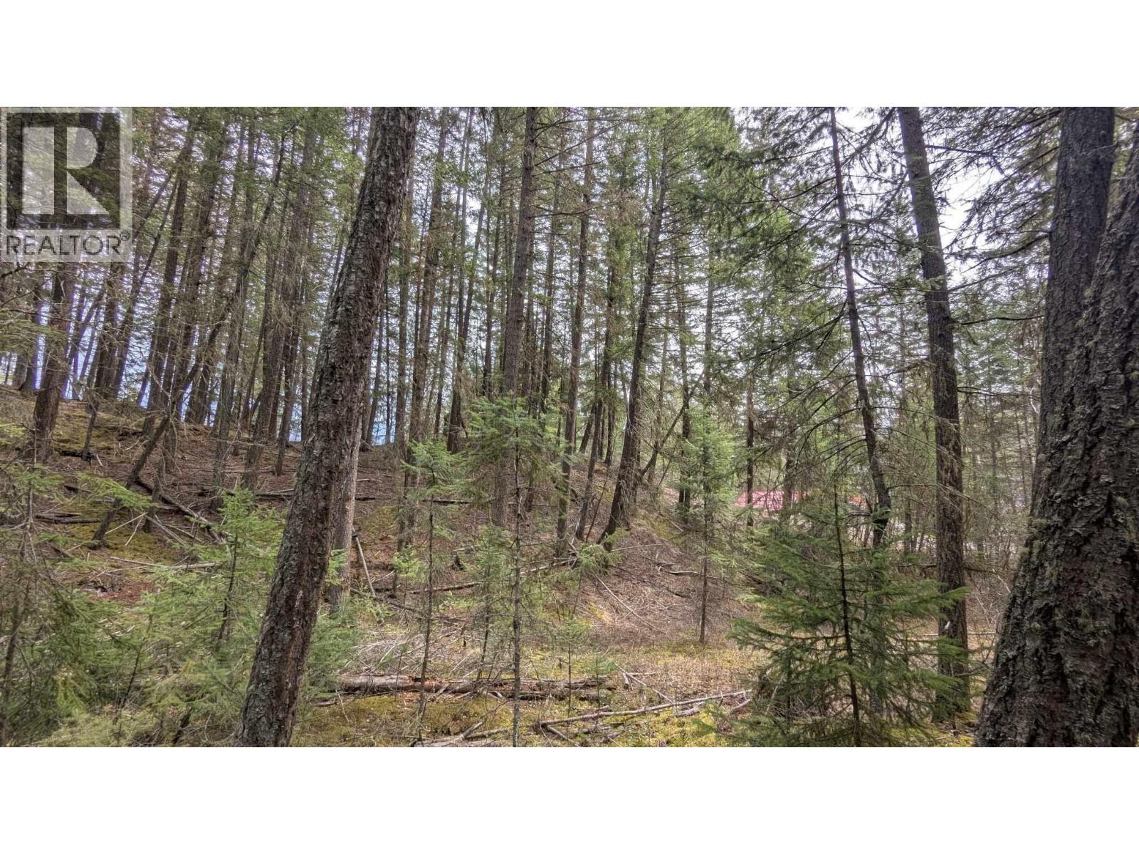 Lot 3 SUMMIT ROAD, Canim Lake