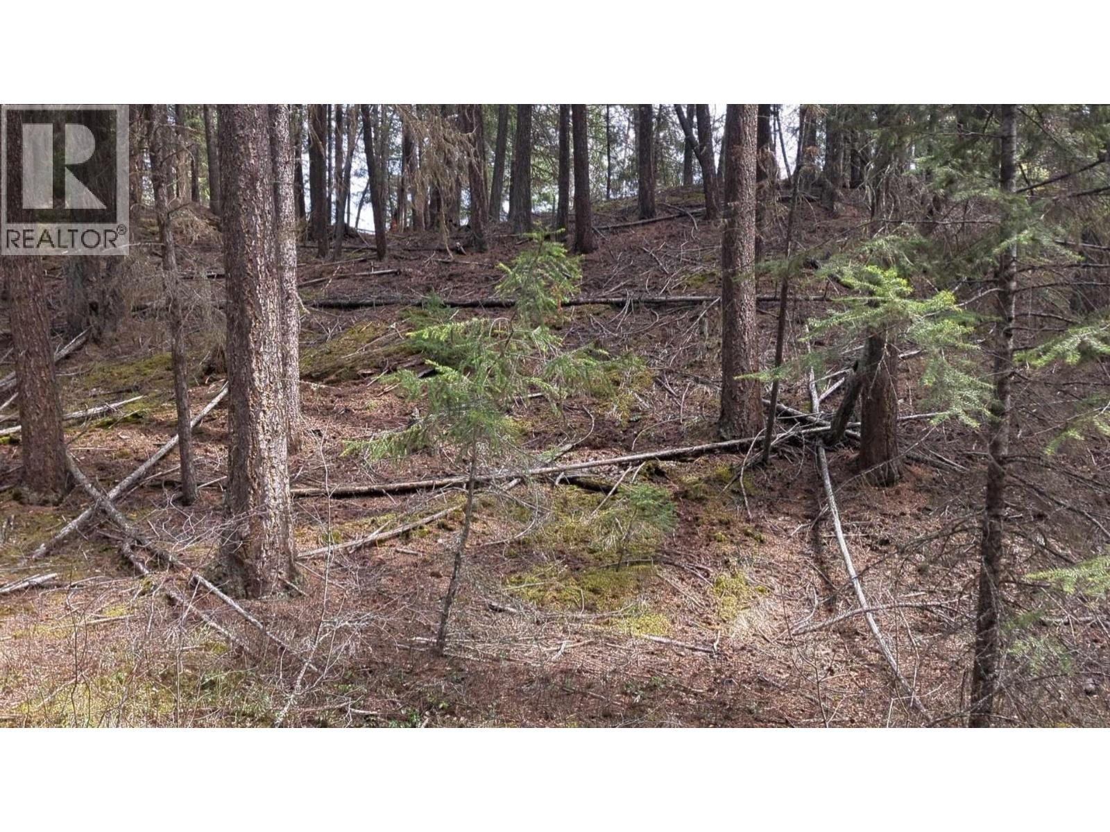 Lot 3 SUMMIT ROAD, Canim Lake