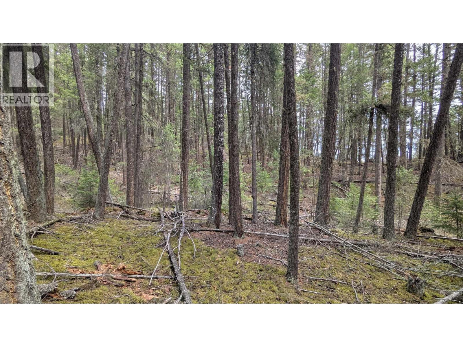 Lot 3 SUMMIT ROAD, Canim Lake