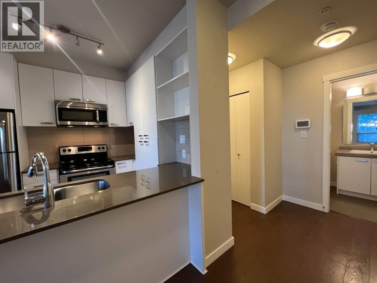 110 20331 DEWDNEY TRUNK RD, Maple Ridge