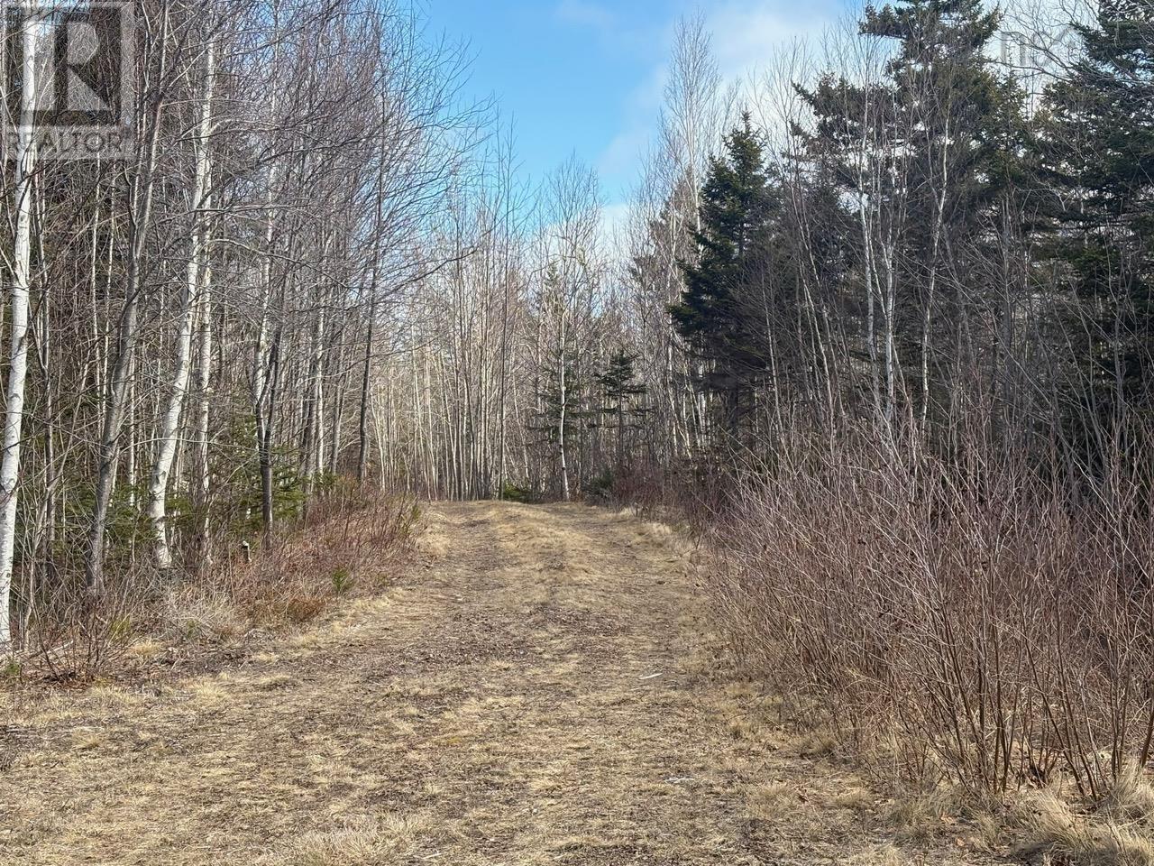 Property 13 of 30 of Lot 9 Longley Mountain Road
