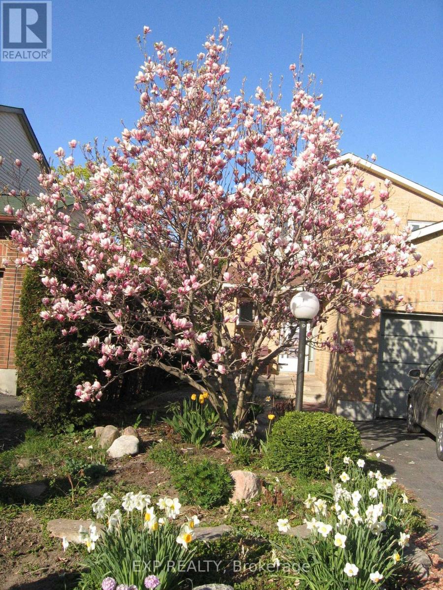 31 COOLSPRING CRESCENT, Ottawa, Ontario