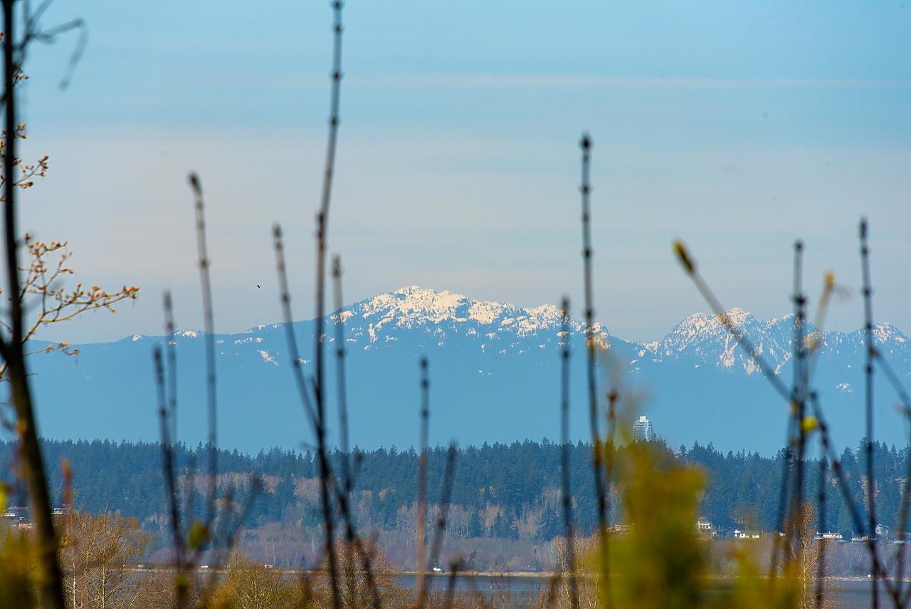 2842 BAYVIEW STREET, Surrey