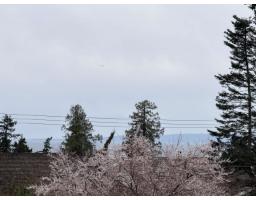 13512 14 Avenue, White Rock, BC V4A5H5 Photo 36