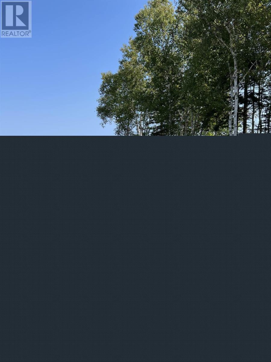 1258 CARIBOU ISLAND ROAD - 13