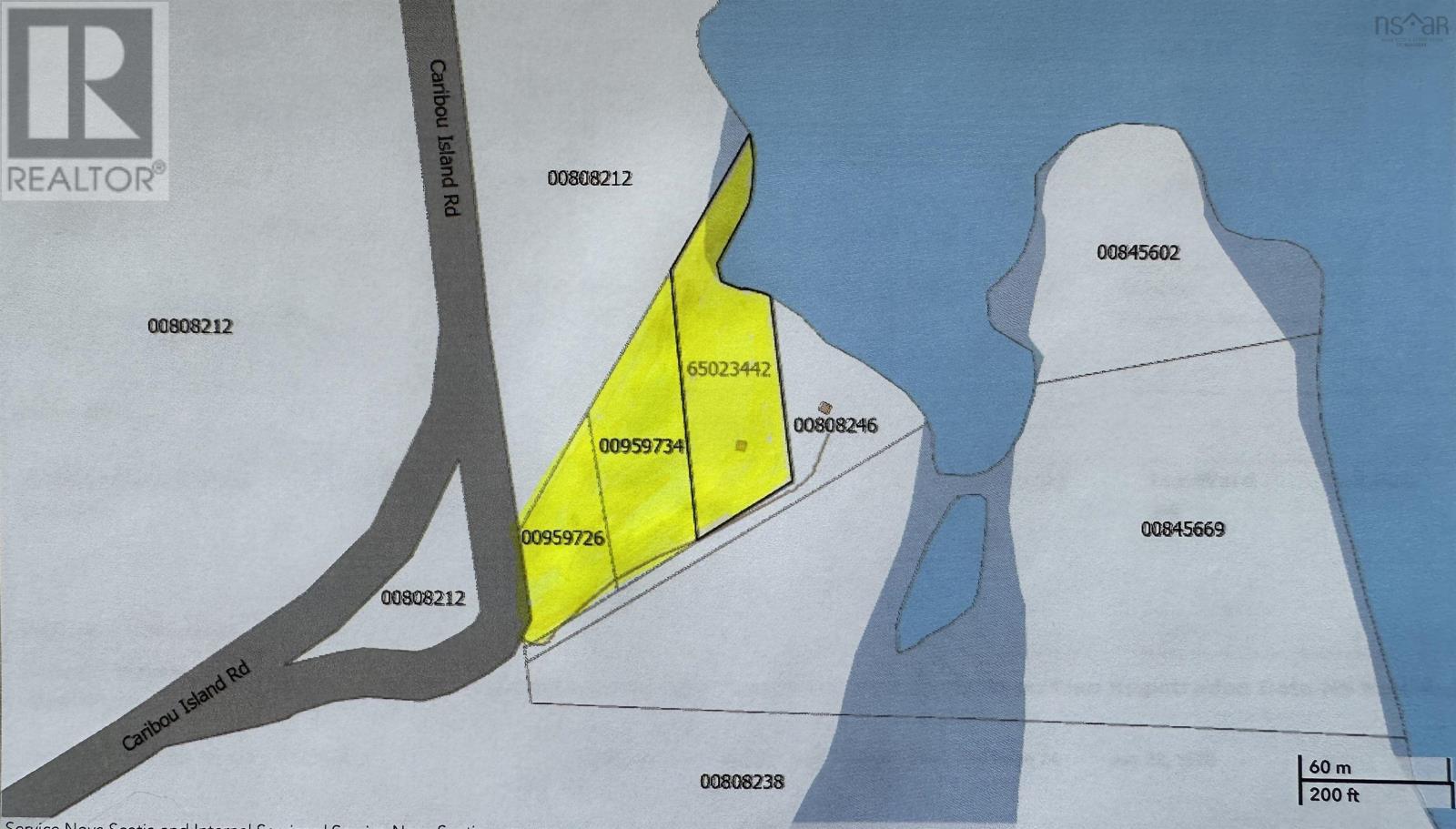 1258 CARIBOU ISLAND ROAD - 4