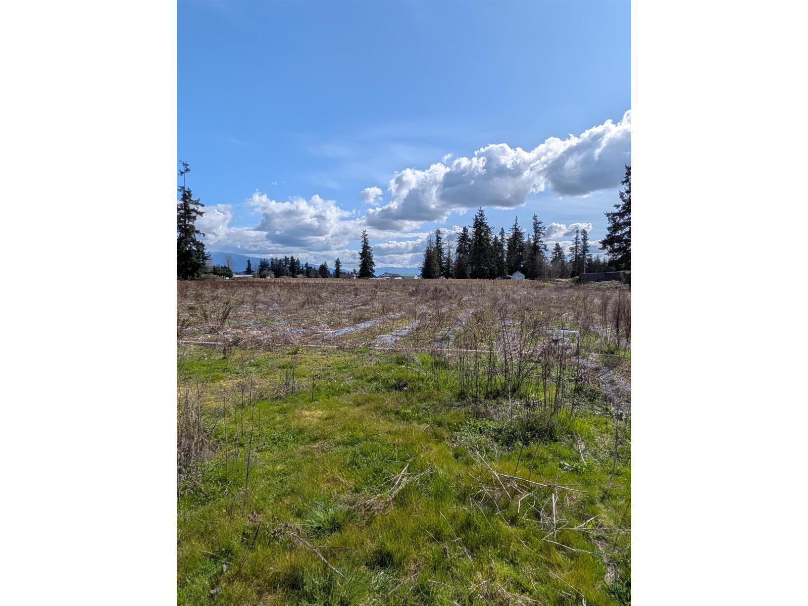 31286 KING ROAD, Abbotsford