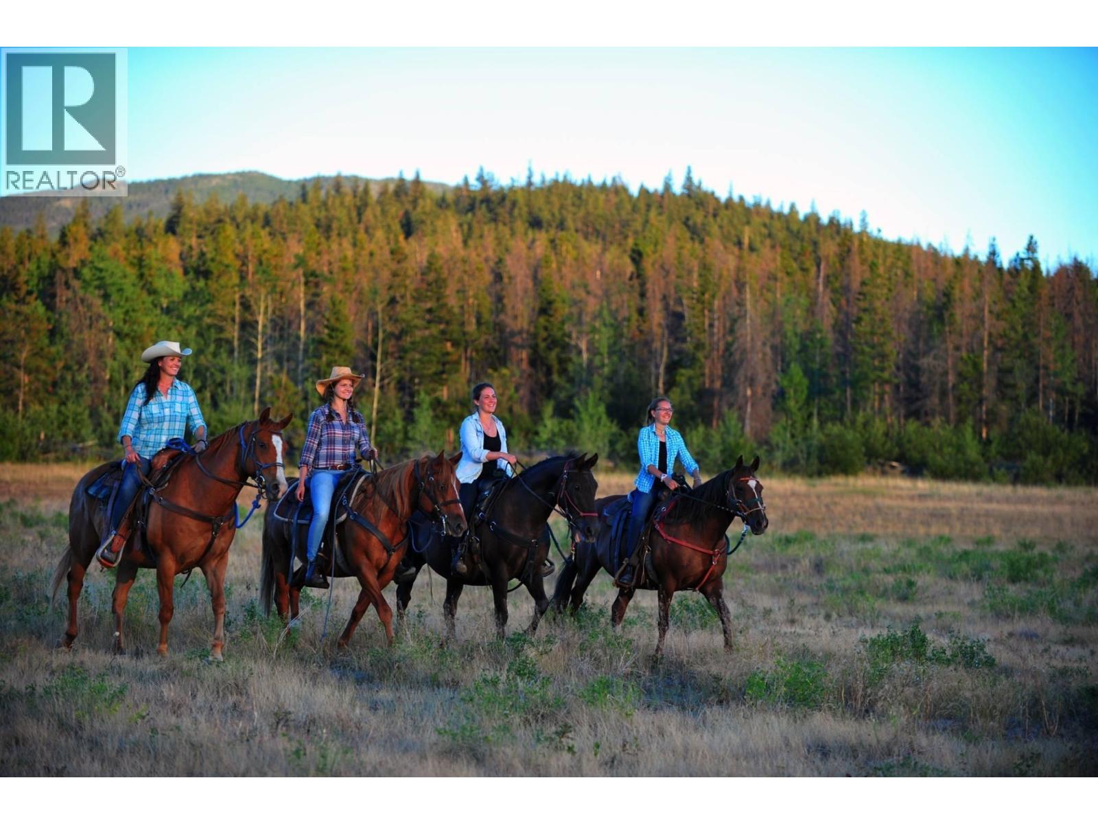 6775 TATLAYOKO ROAD - 8