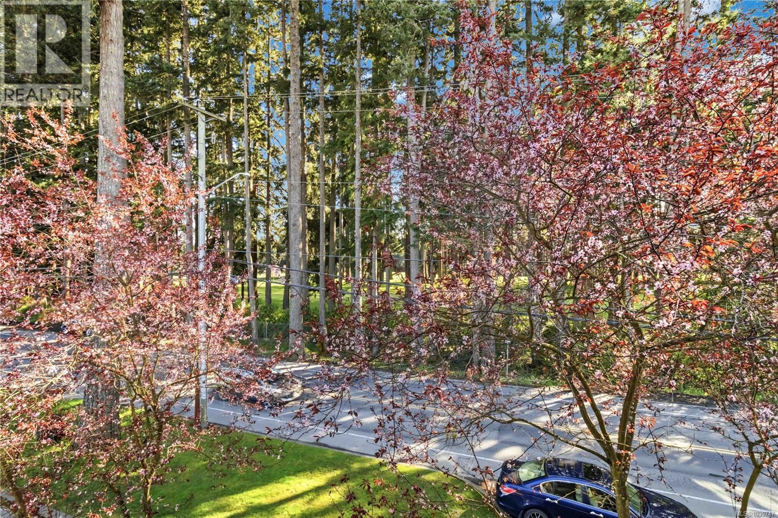 309 360 Goldstream Ave, Colwood