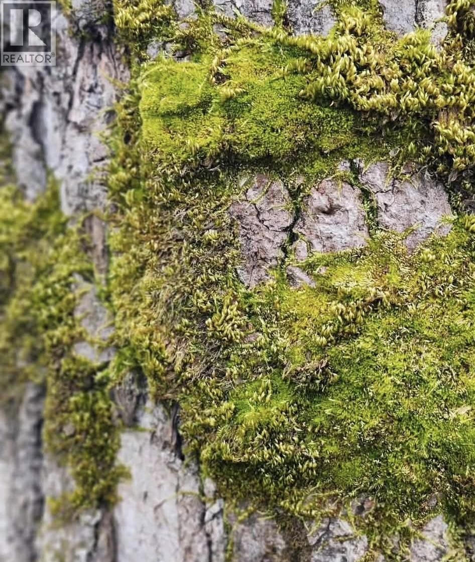 B2G1 464 EAGLECREST DRIVE, Gibsons