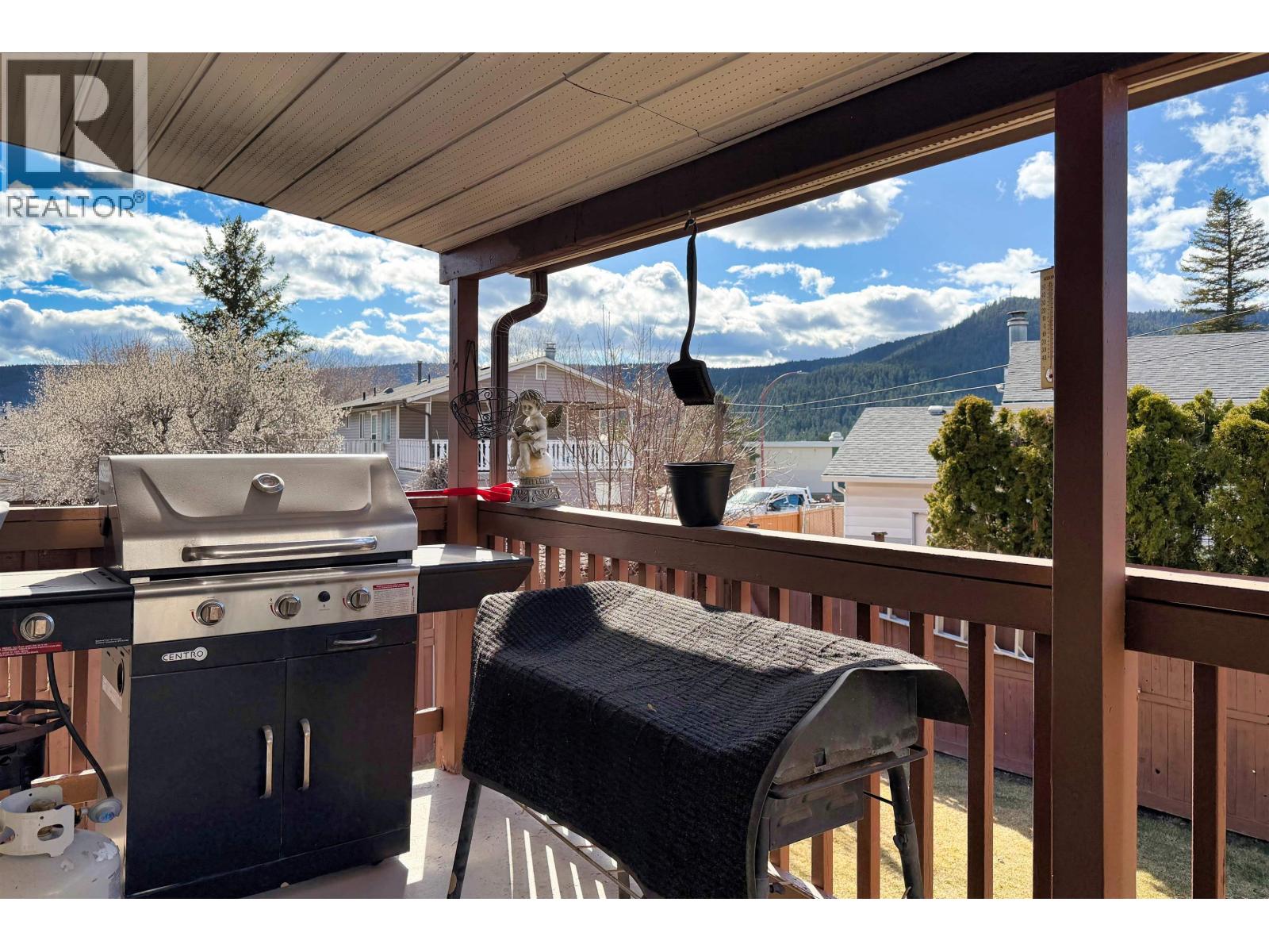 255 LITZENBURG CRESCENT - 16