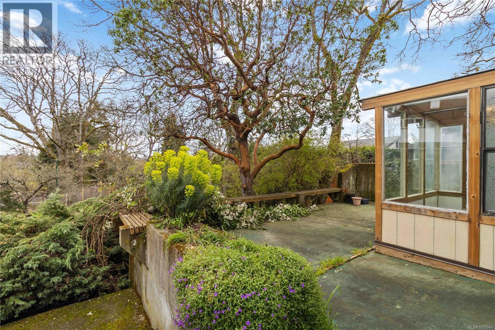  3438 Cook Street, Saanich