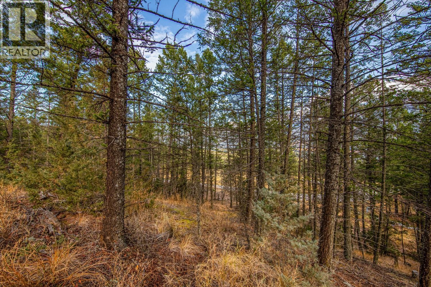  VALLEY VISTA Way, Fairmont Hot Springs