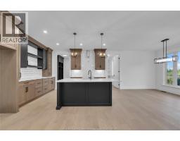 Laundry room - 255 Dolores, Essex, ON N8M3E9 Photo 6