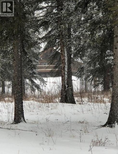 7742 N BRIDGE LAKE ROAD - 11