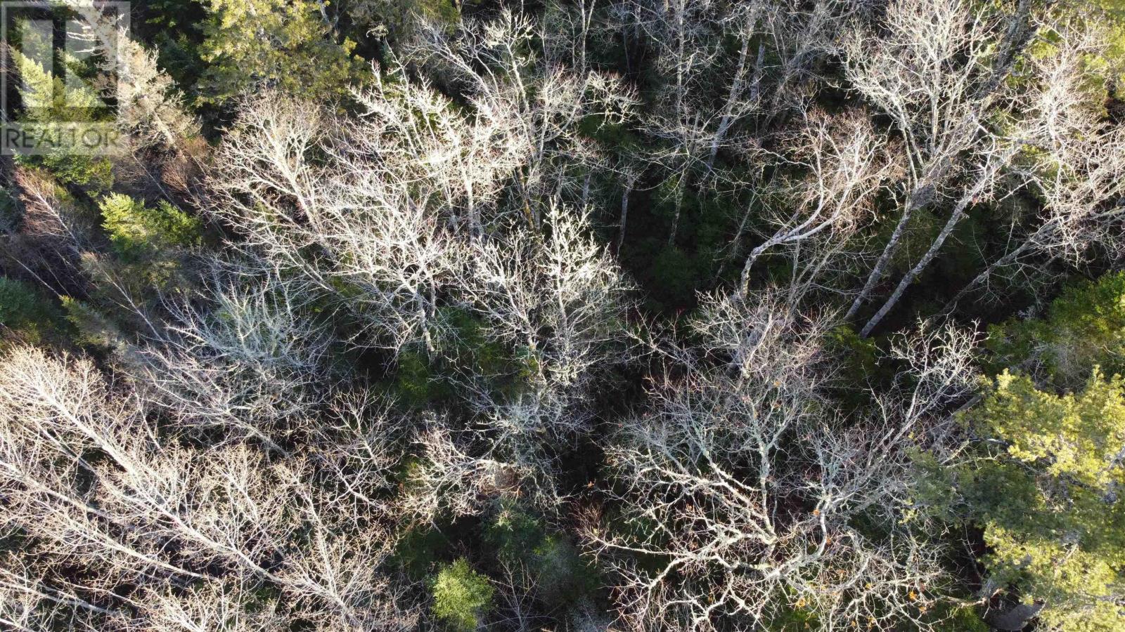 Property 11 of 12 of LOT 3 Highway 10