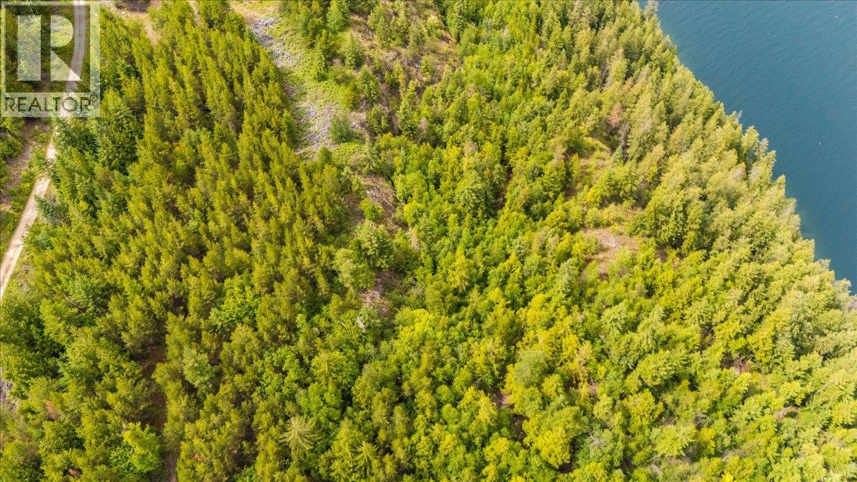 Lower Arrow Lake Lot# 5, Castlegar