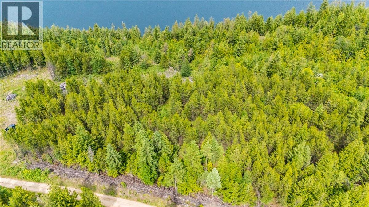Lower Arrow Lake Lot# 5, Castlegar
